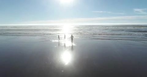 Playing in the Oregon tide 5 動画素材 187253014