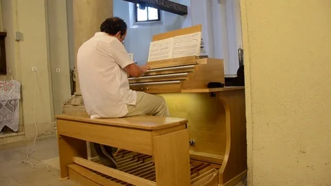 Playing orgon, orgona Stock Footage 73899569