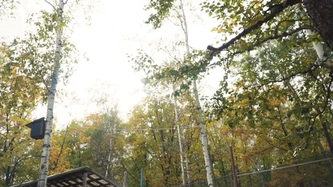 Playing paintball in the Woods Stock Footage 93331736