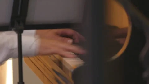 Playing the piano Stock Footage 100843559