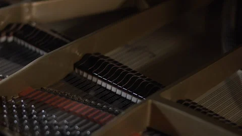 Playing the piano Stock Footage 108579765