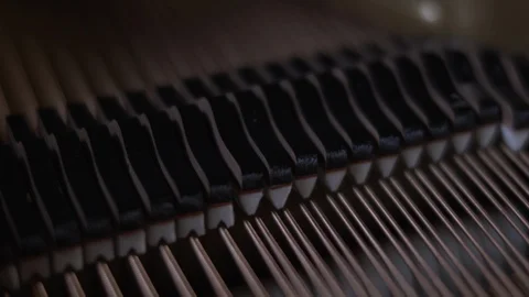 Playing the piano Stock Footage 108580055
