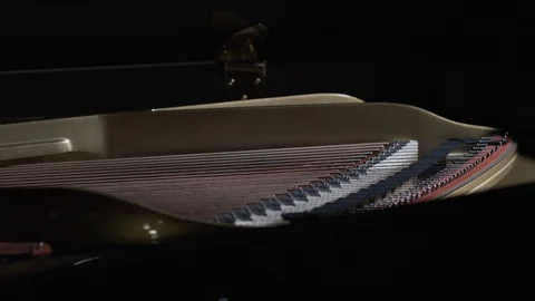 Playing the piano Stock Footage 108580636