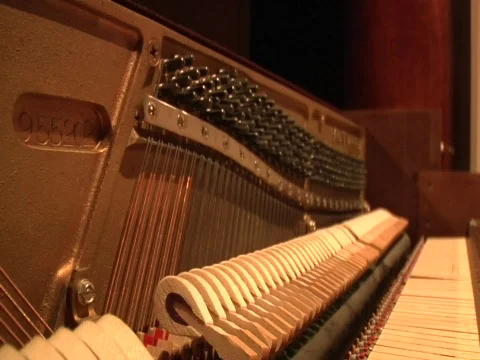 Playing Piano, Strings and Hammers Stock Footage 305384