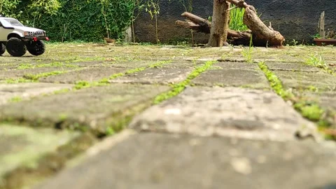 Playing remote control car in the back yard of the house Stock Footage 165050237