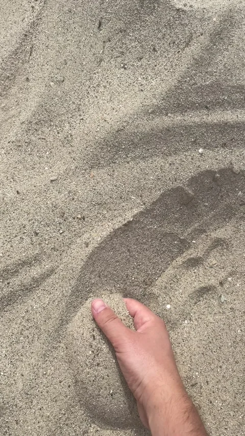 Playing with sand on the beach Stock Footage 204035870