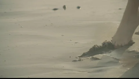 Playing on the sand Stock Footage 127111128