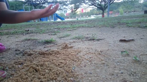 Playing sand Stock Footage 145844973