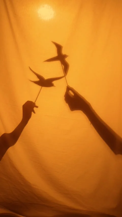 Playing shadow puppet theater together at home with birds figures. Family Stock Footage 296519419