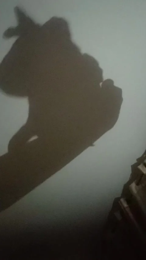 Playing Shadows Stock Footage 276403000