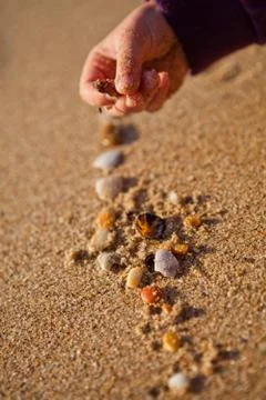 Playing with shells Stock-Fotos