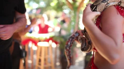 Playing with snake Stock Footage 44577294