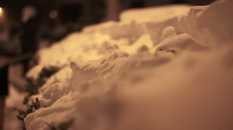 Playing In The Snow 005 Vídeo Stock 12761179