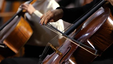 Playing stringed classical musical instruments Stock Footage 220611116
