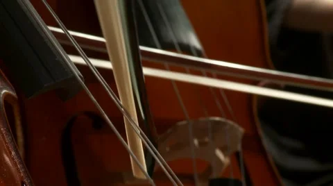 Playing strings of musical instruments with bow - cello arco pizzicato closeup Video stock 55598428