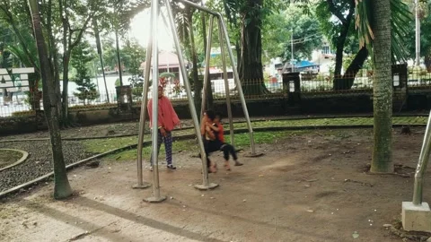 Playing swing in the park Stock Footage 220129541