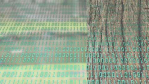 Playing, teal binary overlay pulsing across static tree trunk and blurred slats, Stock Footage 333145309
