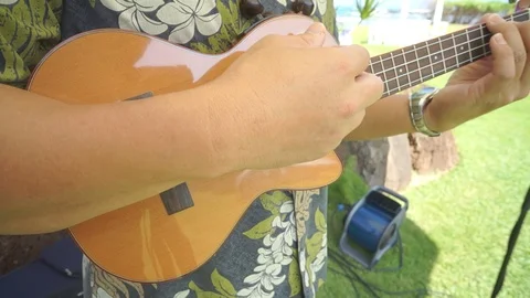 Playing Ukelele 3 Stock Footage 104818916