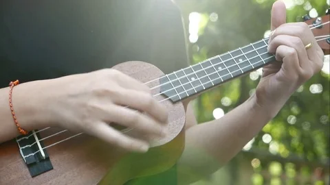 Playing ukulele in close up view Stock Footage 72562756