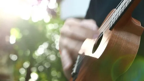 Playing ukulele in close up view Stock Footage 72562991