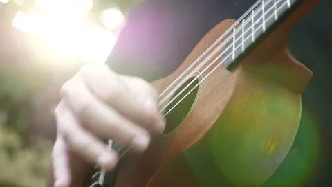 Playing ukulele in close up view Stock Footage 72563225