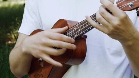 Playing on the ukulele in the park close-up. The guy plays the ukulele. The m Vidéo 108389595