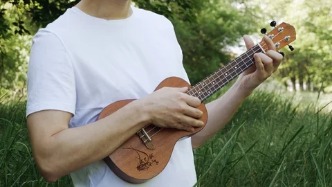 Playing on the ukulele in the park close-up. The guy plays the ukulele. The m Stock-Footage 108389626