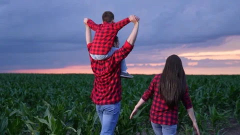 Playing under the sky, A son s joy with parents, Family in natural beauty, Sun Stock Footage 314289682