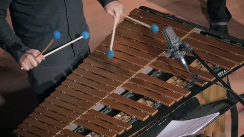 Playing the vibraphone Stock Footage 80390599