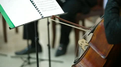 Playing Violin And Cello Stock Footage 10863994