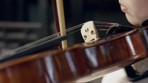Playing Violin. Close Up Of Violin Bow Going Across Strings Stock Footage 133690152