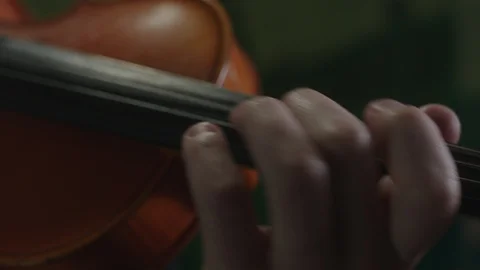 Playing the violin. Stock Footage 107793929
