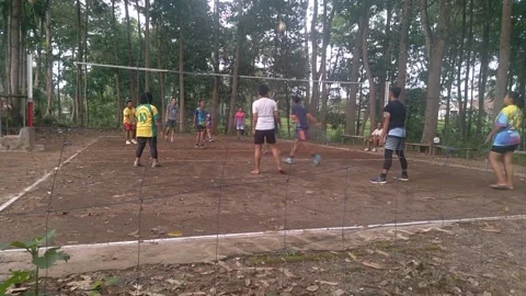 Playing volley Stock Footage 258114338