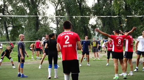 Playing volleyball in the Park Stock Footage 53206525