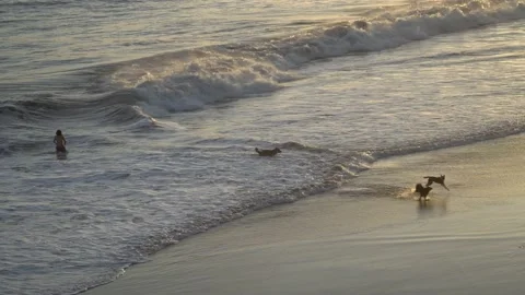 Playing in the waves Vídeos de archivo 185430540