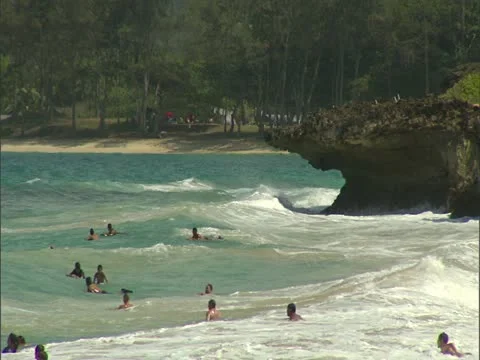 Playing in the Waves on the North Shore Stock-Footage 22243774
