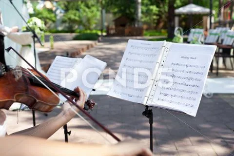 Playing wedding march Stock Photos