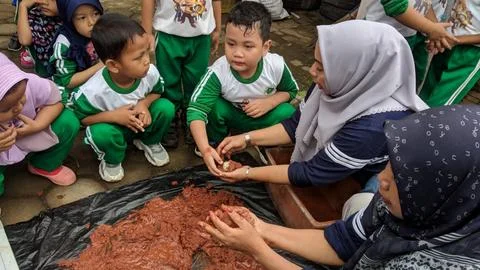 Playing while studying Foto stock