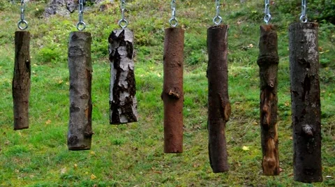 Playing wood on chain Stock Footage 56542543