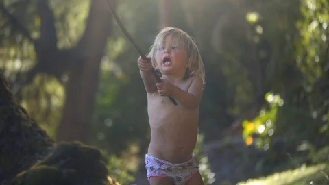 Playing on the Woods Video stock 72452772