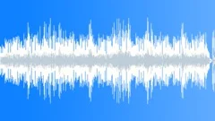 Playing Yang QinStock Music
