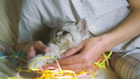Plays with a cat ribbons. Stock Footage 181589903