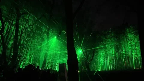 Plays of laser light in a forest Stock Footage 267187576