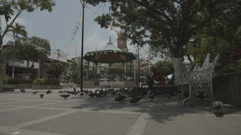 Plaza de Armas Stock Footage 128995307