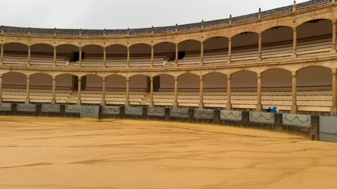 The Plaza de Toros, 動画素材 307210100