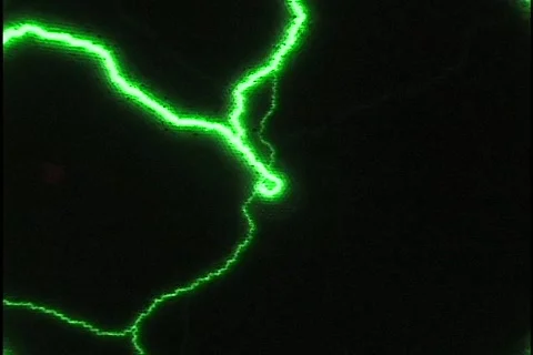 Plazma 1 Stock Footage 150493