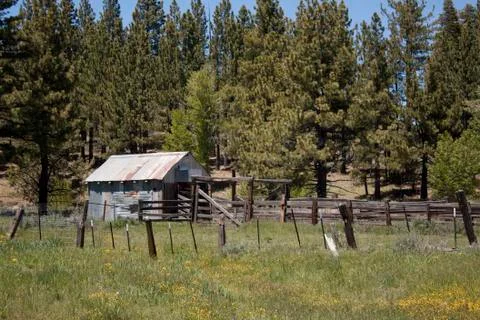 Pld shack in a field during spring Stock Photos