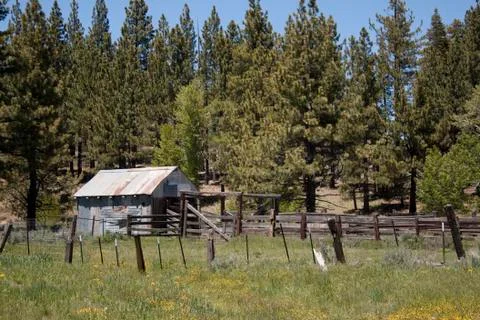 Pld shack in a field during spring Stock Photos