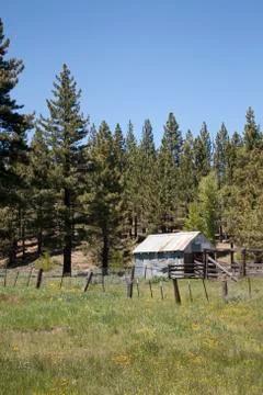 Pld shack in a field during spring Stock Photos