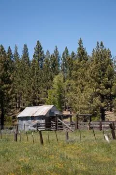 Pld shack in a field during spring Stock Photos